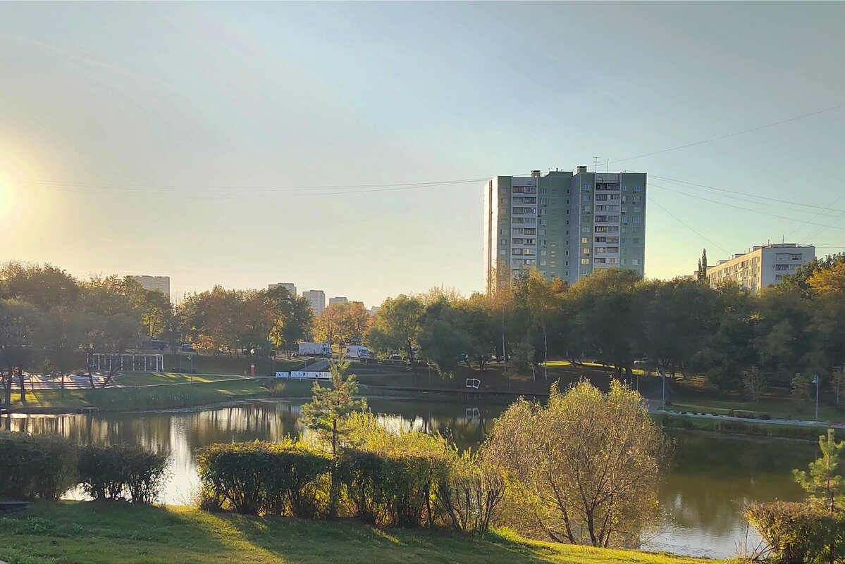 Теплый день  в  московском  парке. Автор  Саша - Фотогруппа Весна