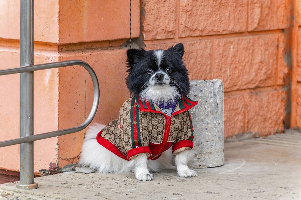 Пора утепляться - Валерий Иванович