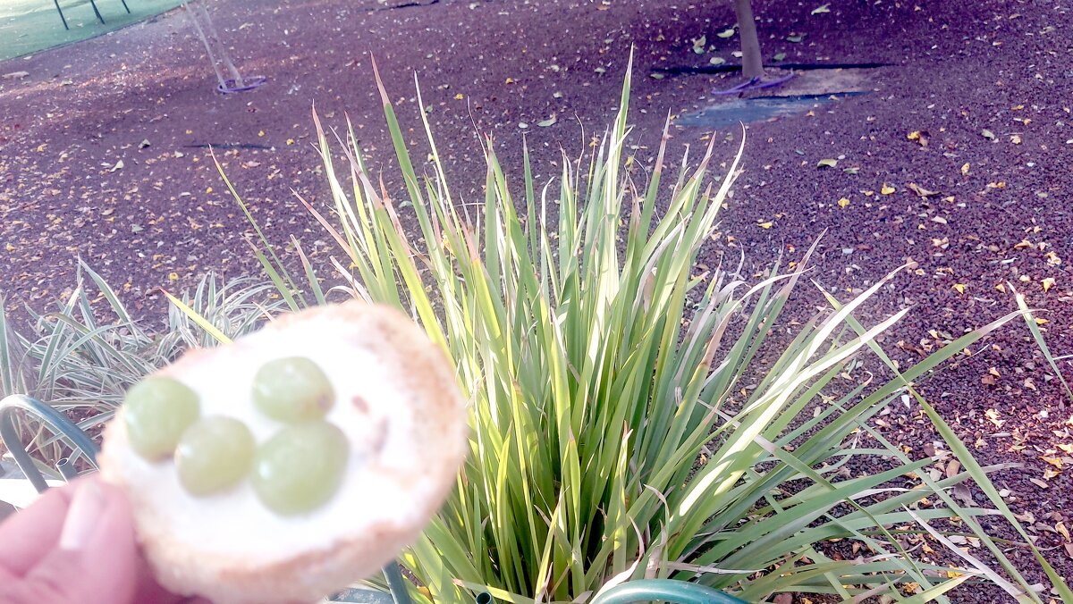 13  ОПЕН (490) - OPEN WAYS ALL