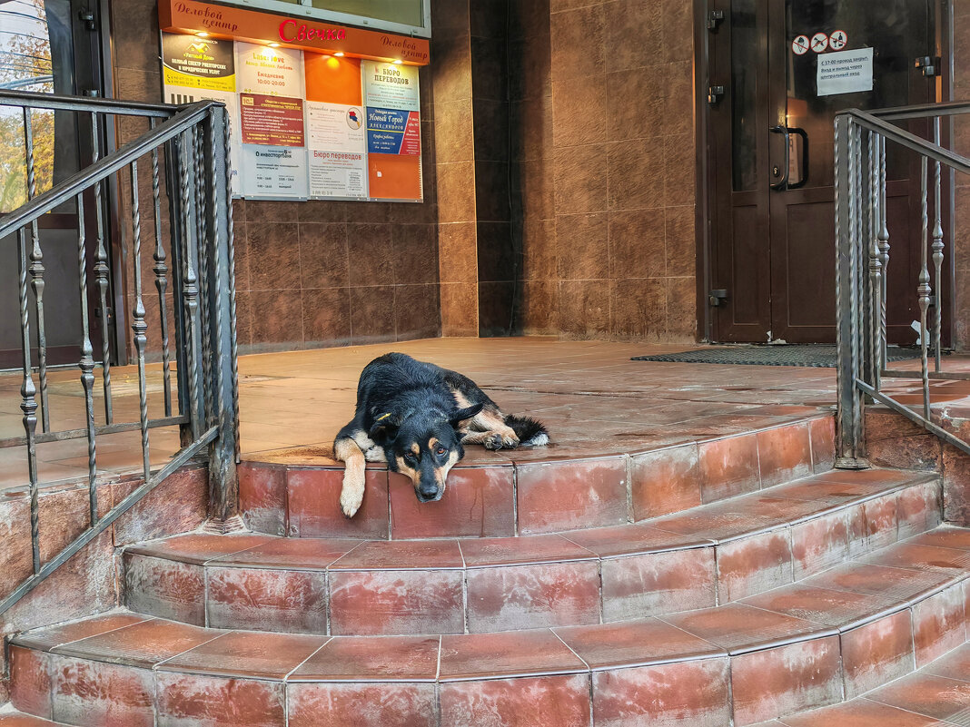 Бродяга - Денис Бочкарёв