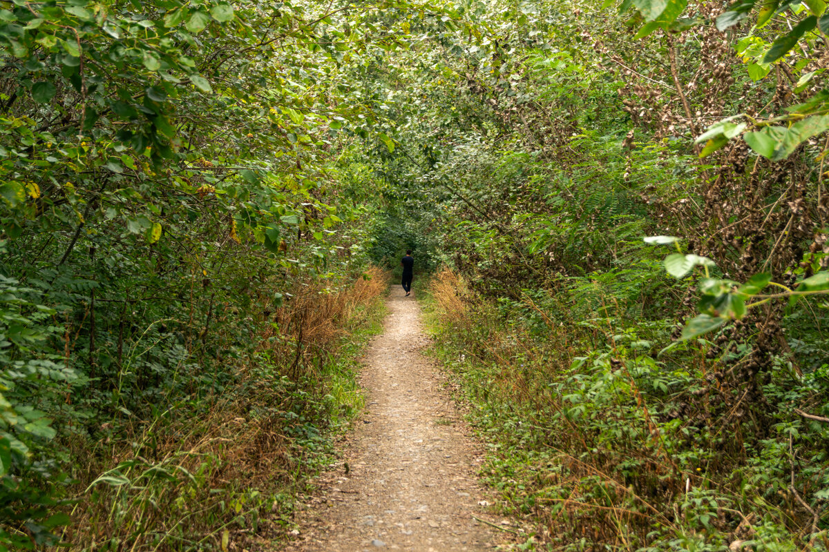 Тропинка - Игорь Сикорский