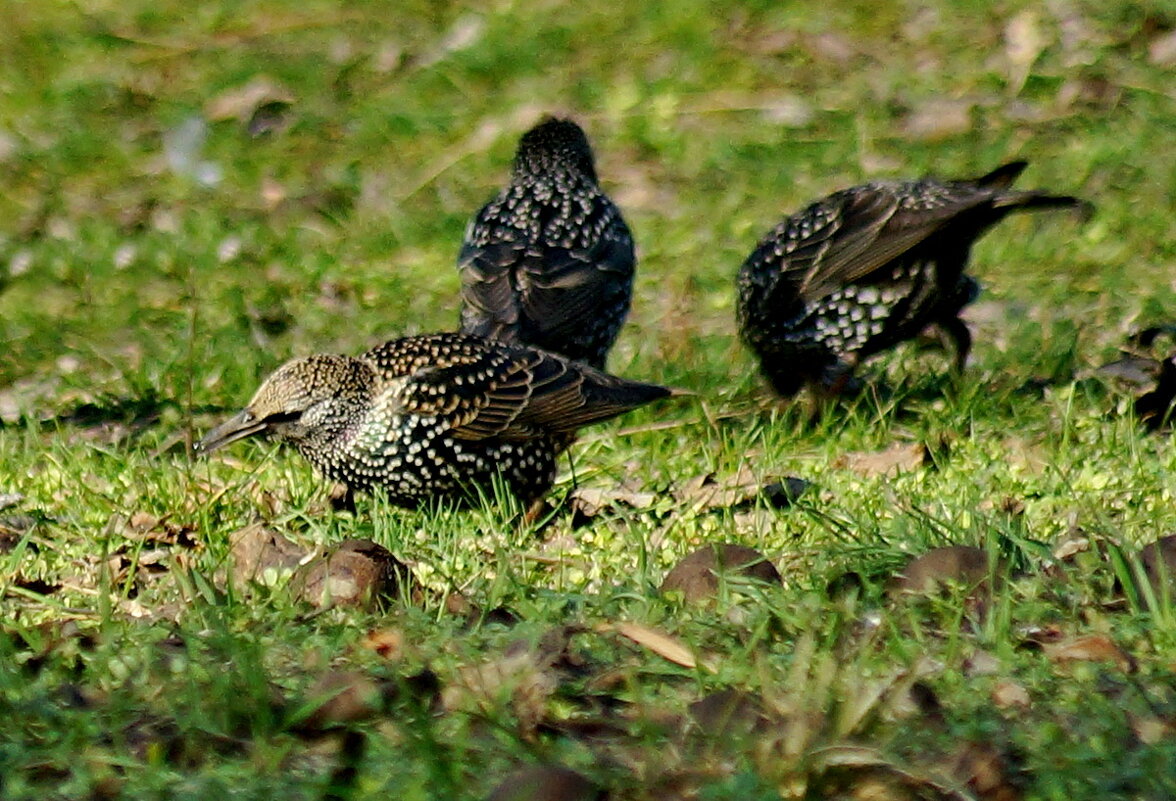 Перед вылетом нужно подкрепится... - Николай Саржанов