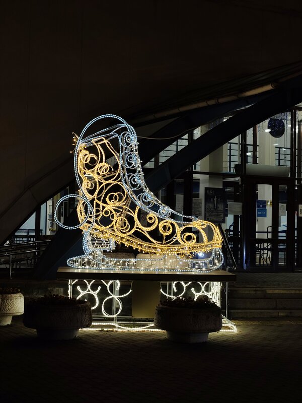 школа фигуристов - Андрей 