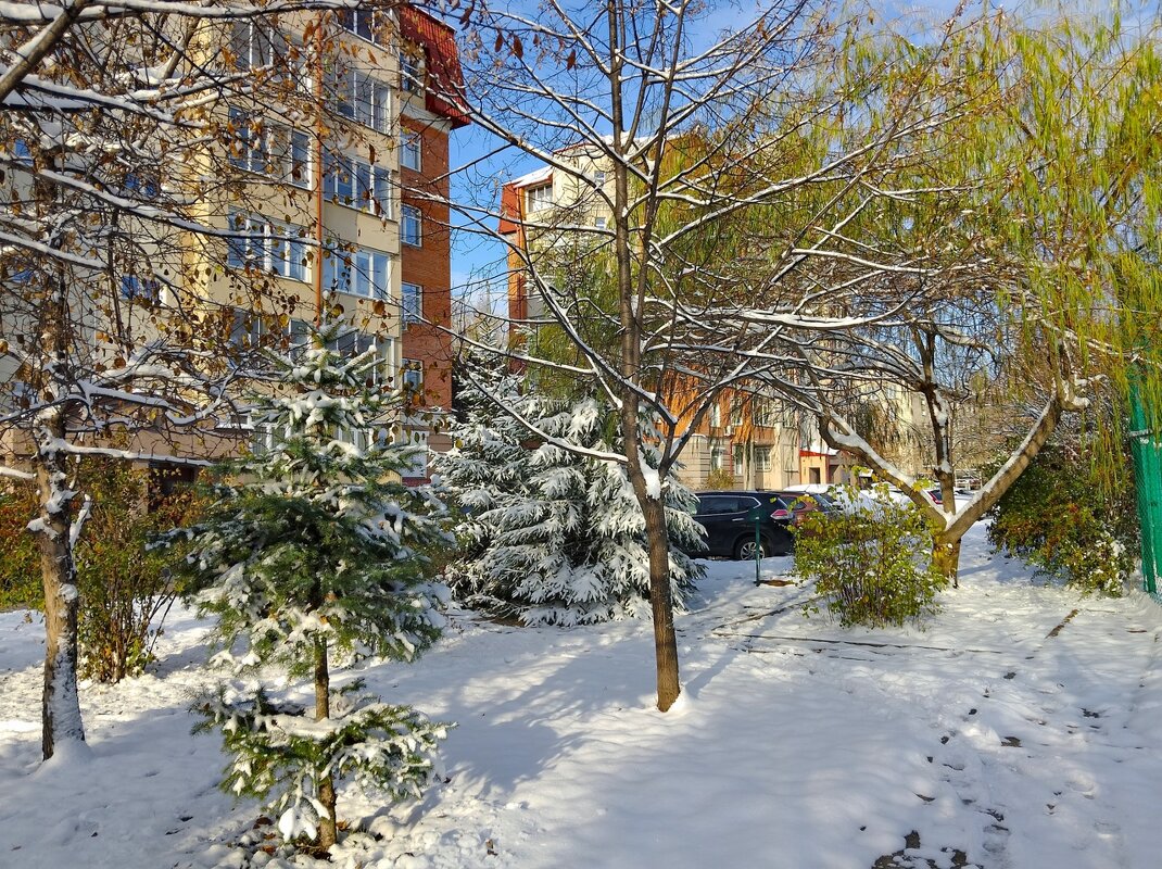 Первый снег - николай 