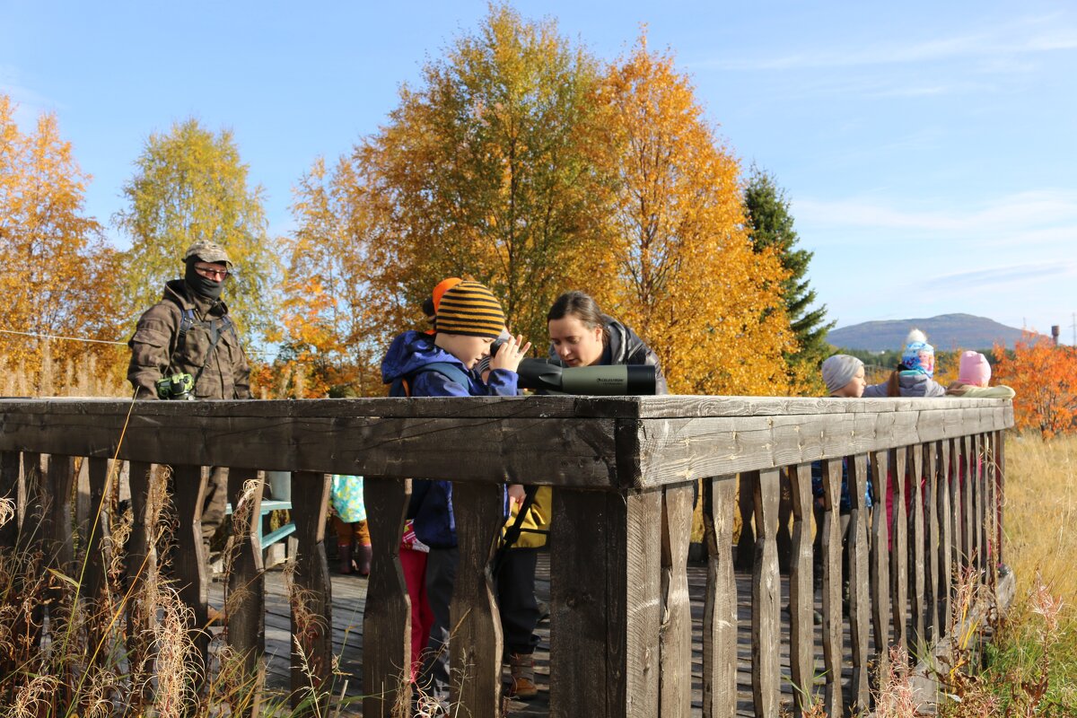 Наблюдая за птицами - Ольга 