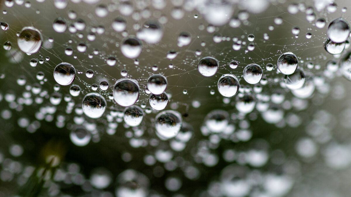 Шарики - sorovey Sol Шарики - sorovey Sol