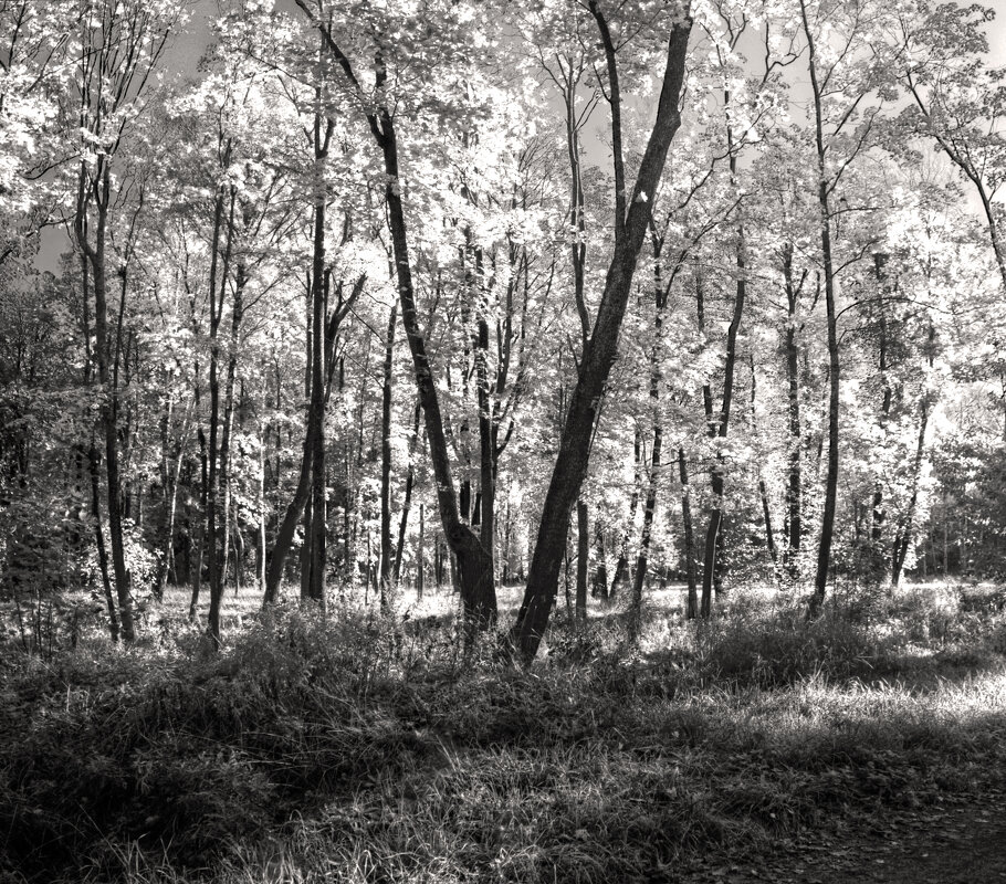 *** - Сергей Григорьев