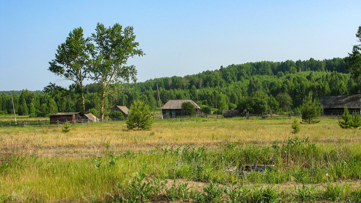 Деревня в лесу - Владимир Иванович Деревня в лесу - Владимир Иванович