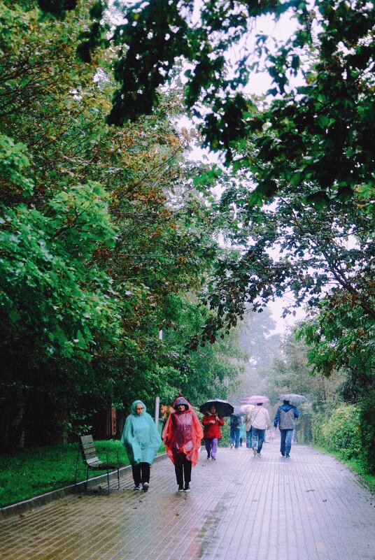 Дождь - Tanya Nikorovskaya