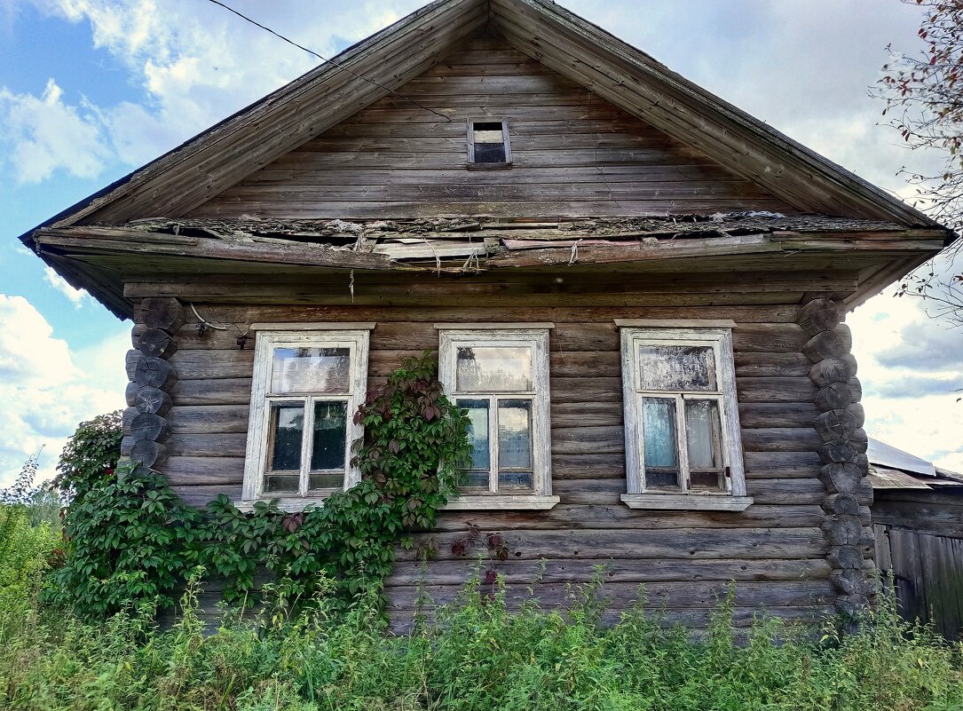 История небольшой деревеньки... - Мария Васильева