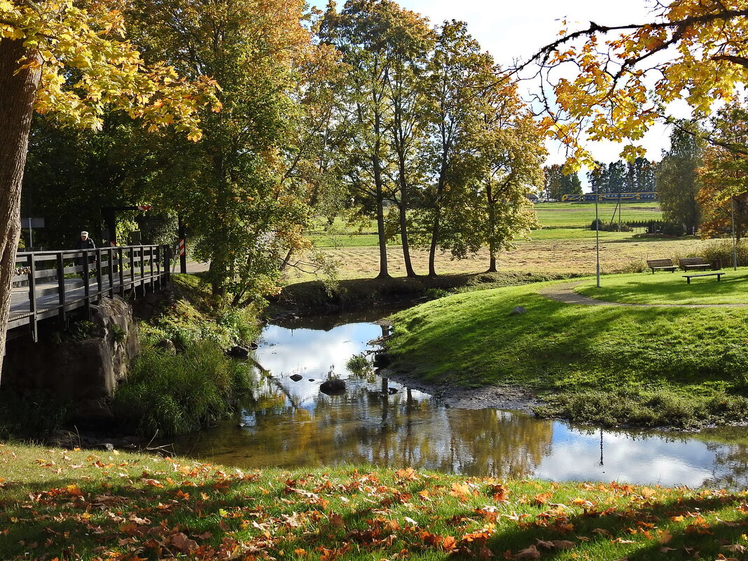 дикий мир осенью - ИННА ПОРОХОВА