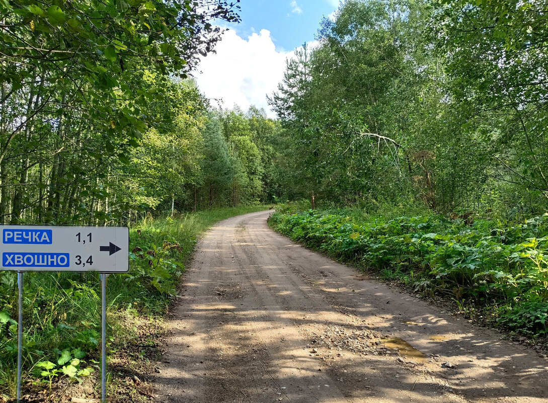 Прошлым летом... - Мария Васильева