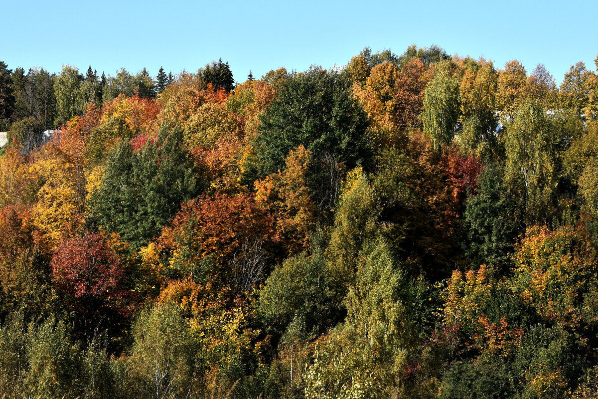 Осенние краски, - Алексей .