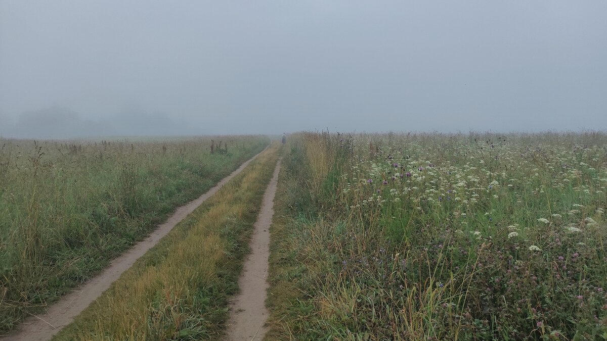 *** - Владимир 