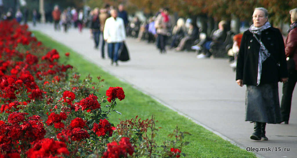 цветы и публика - Олег Лукьянов