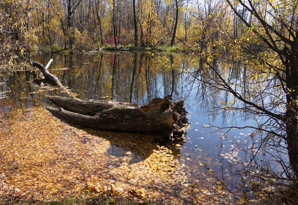 Водяной - Наталия Григорьева