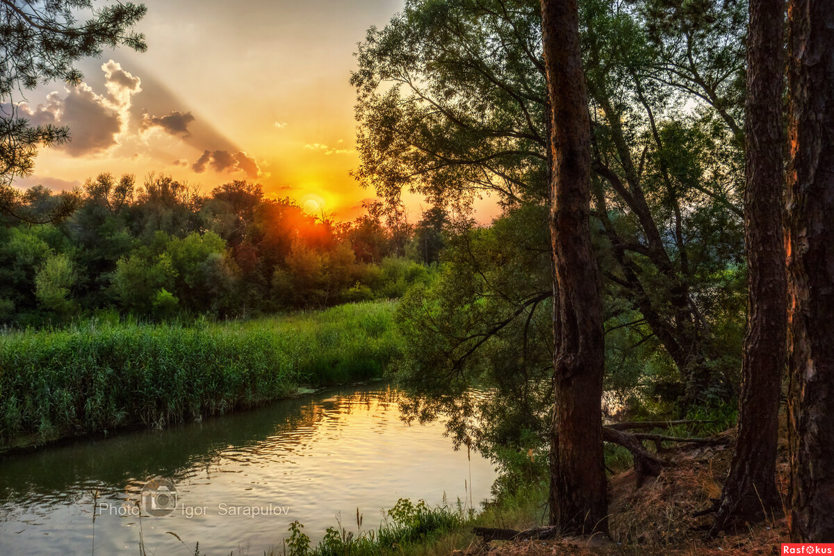 Вечер на Северском Донце - Игорь Сарапулов