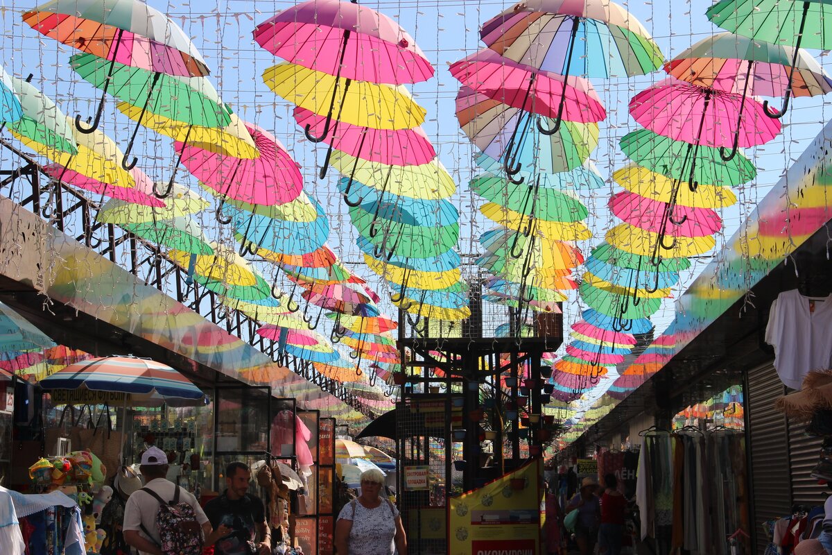 Сириус-Адлер - Serega SchütZ