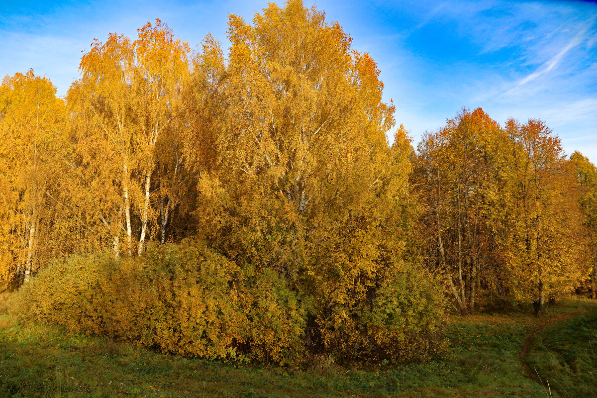 осень - краснов юрий 