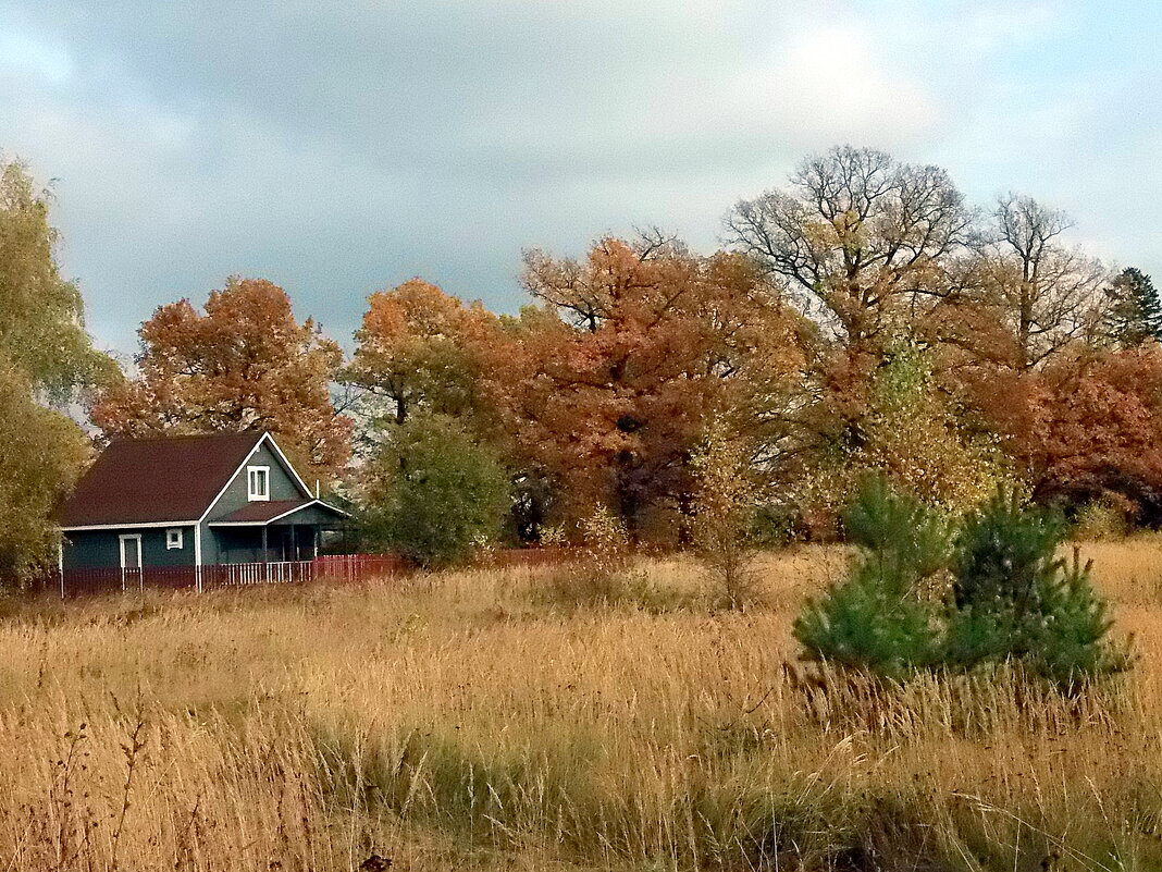 Домик на опушке - Елена 