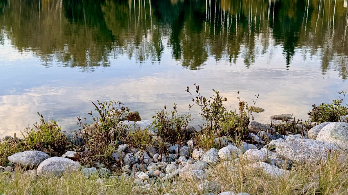 «Про ТИШИНУ…» - Арина Невская