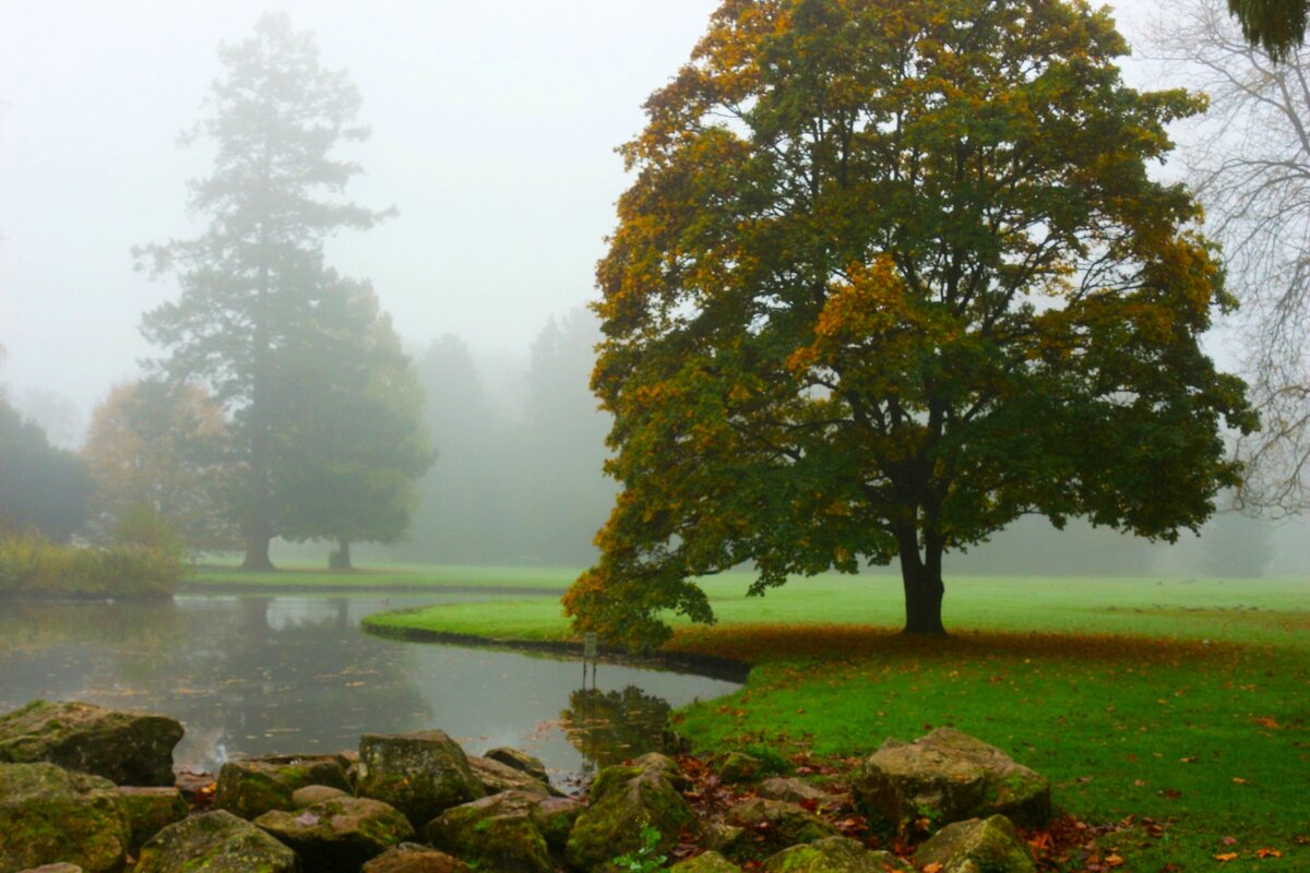 Утренний туман - Юрий. Шмаков