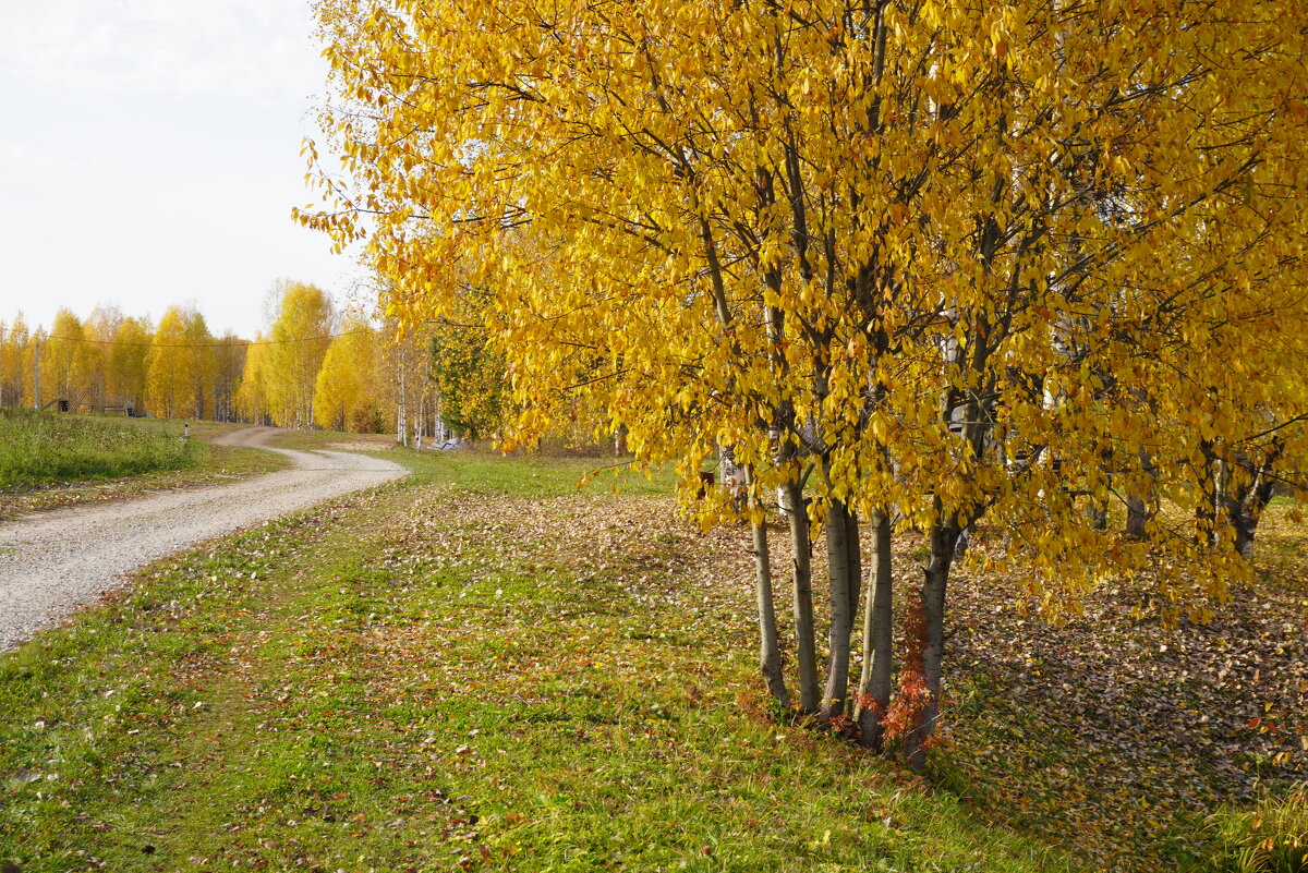Погожий день октября - Сергей Ц