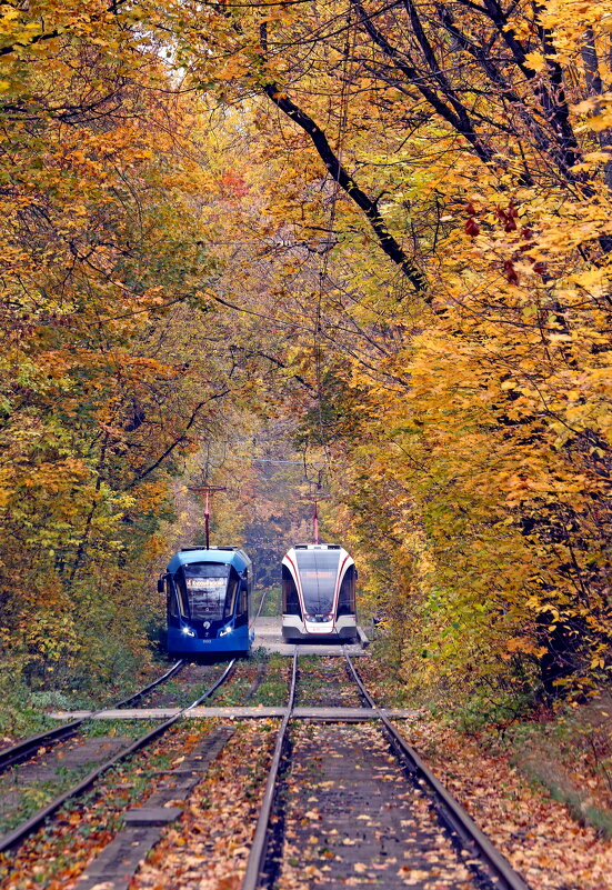 Октябрь - Михаил Бибичков