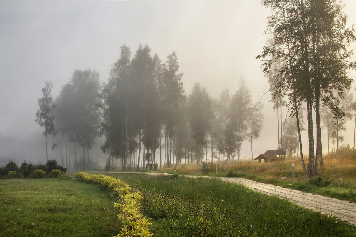 Туманное утро. - Bosanat Туманное утро. - Bosanat