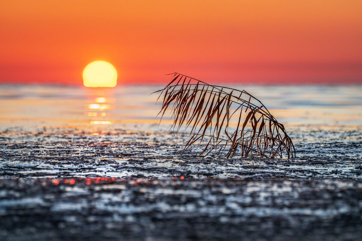Встречая рассвет - Ирина 