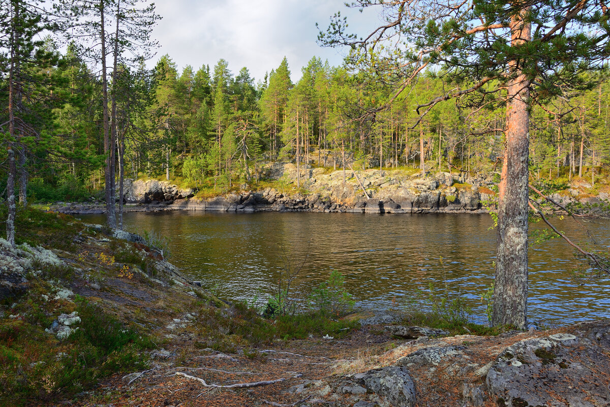 **** - Александр Хаецкий