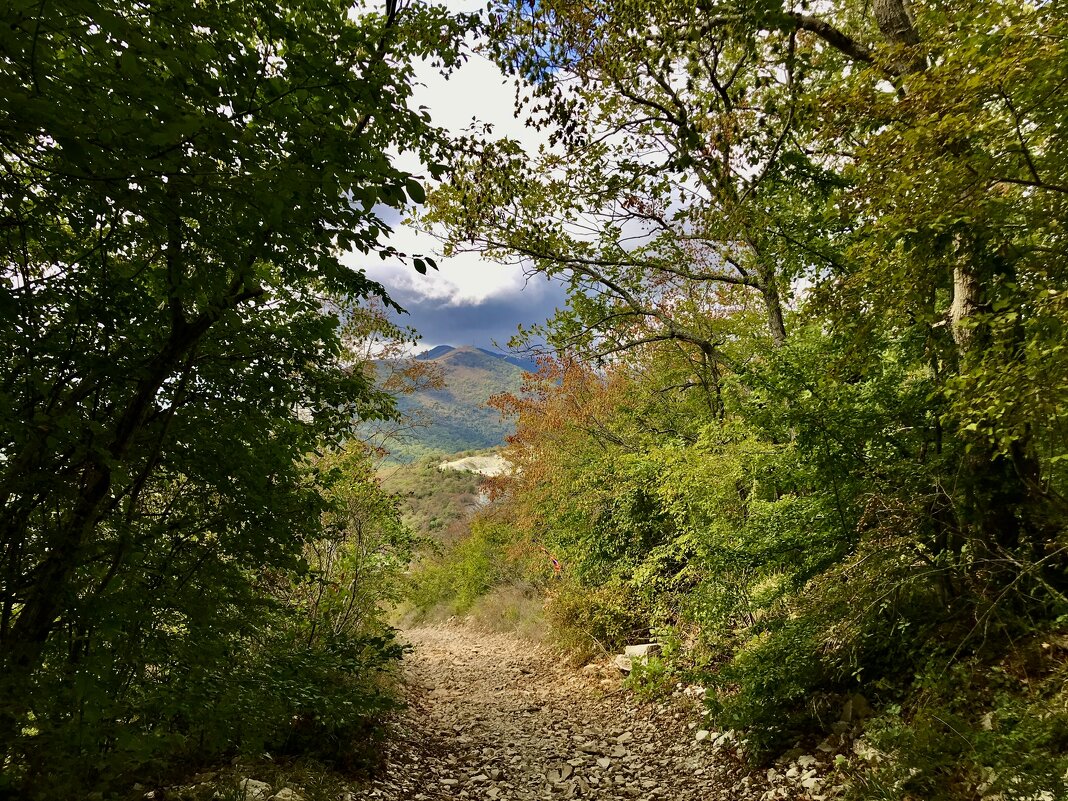 Тенёчек в горах. - Любовь 