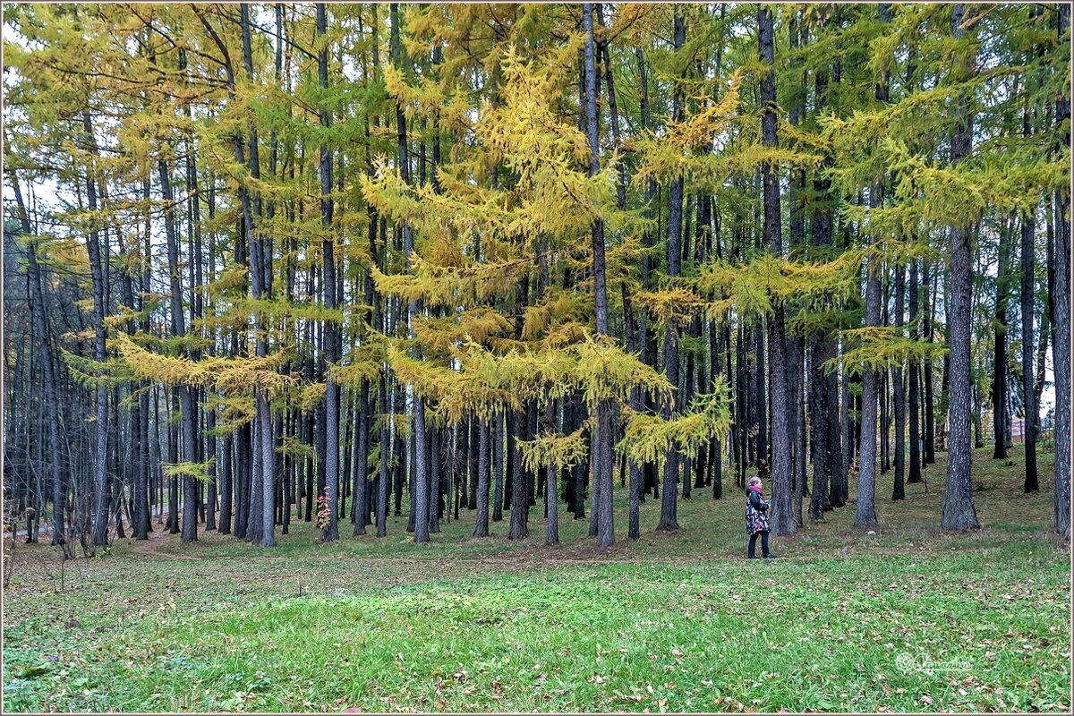 Осенний парк... - Aquarius - Сергей