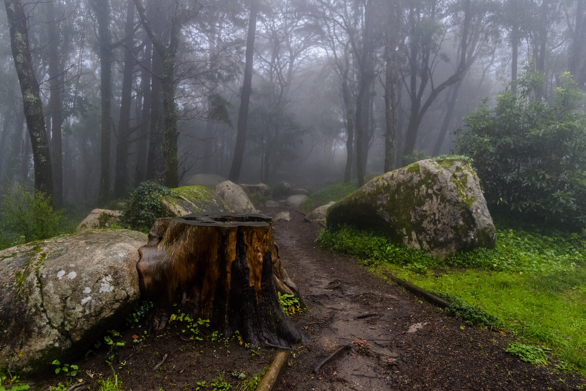 Португалия в Рожество. - Иван К