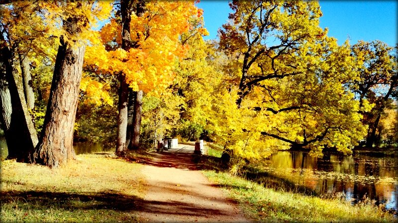 Осень,  золотая осень в парках Царского Села ... - Сергей 