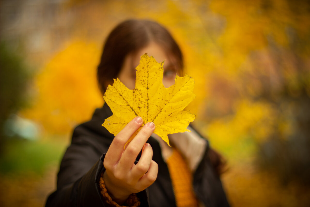 Осень - Елена Cолодагина