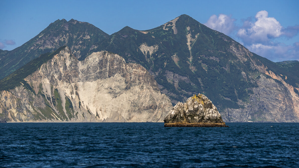 ... - Жора Житников