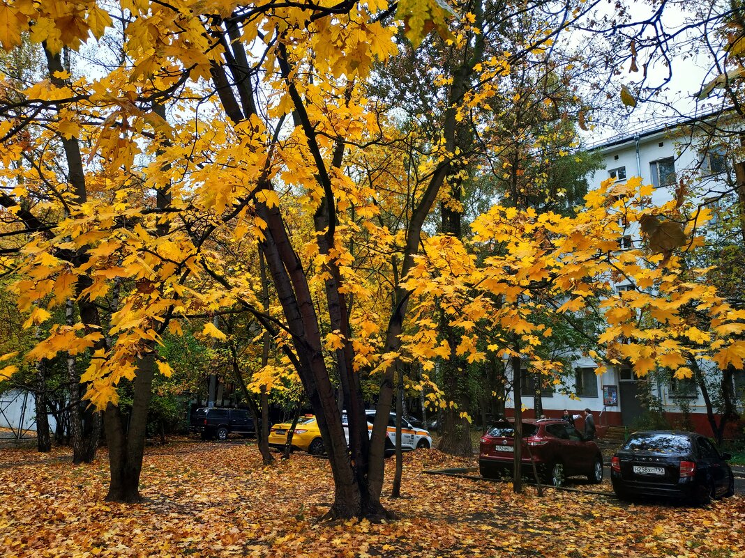 Золотая пора в городе - Андрей Лукьянов