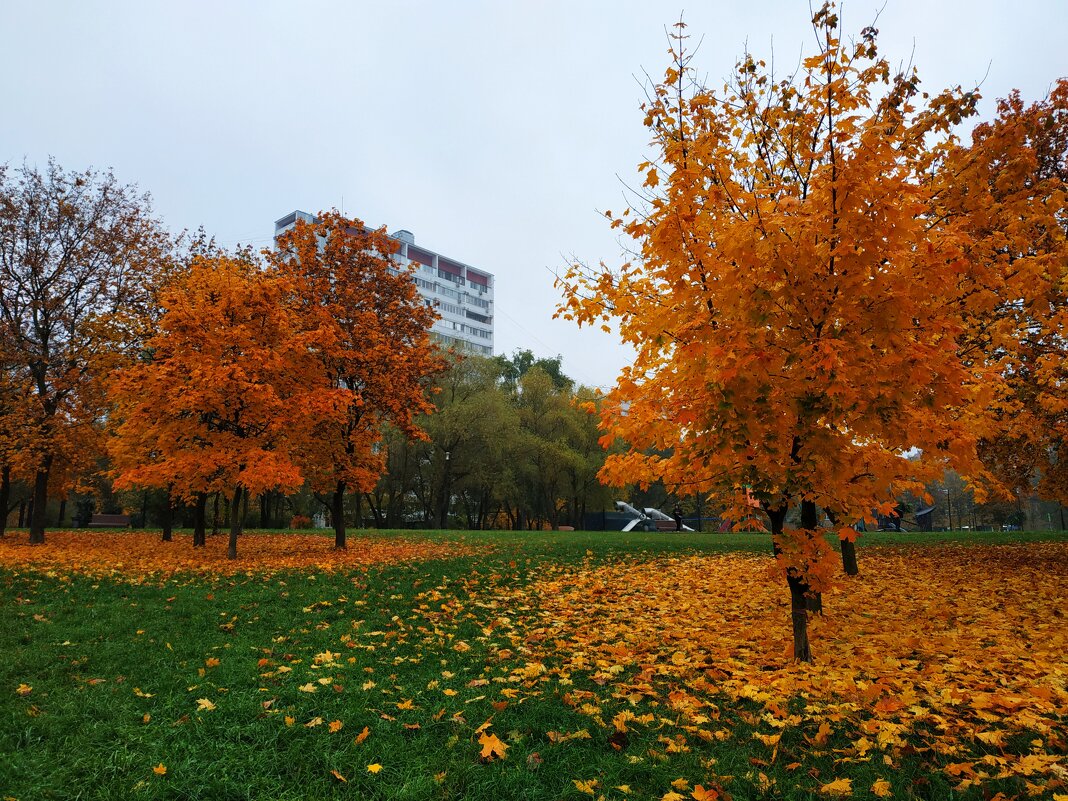 Золотая пора в городе - Андрей Лукьянов Золотая пора в городе - Андрей Лукьянов