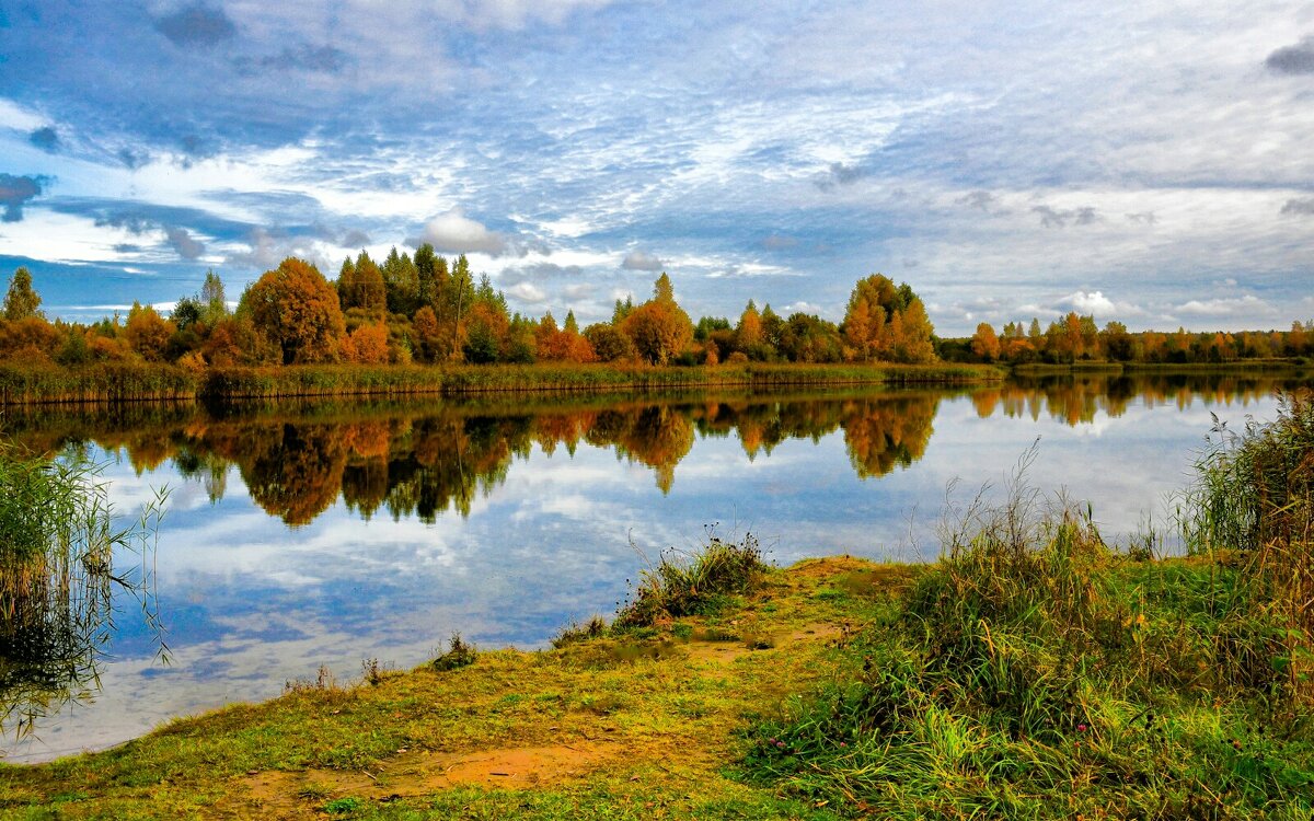 Золотая осень Смоленщины. - Милешкин Владимир Алексеевич 