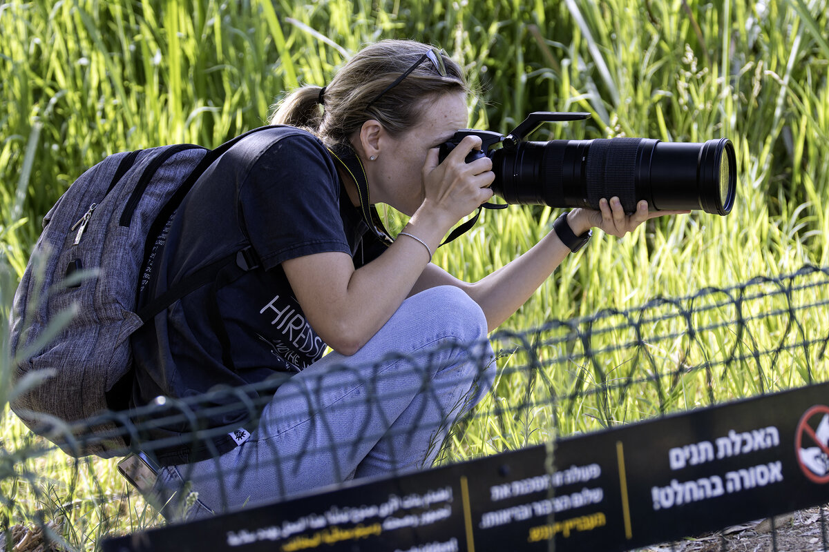 Охота на охотника. - Alexander Amromin Охота на охотника. - Alexander Amromin