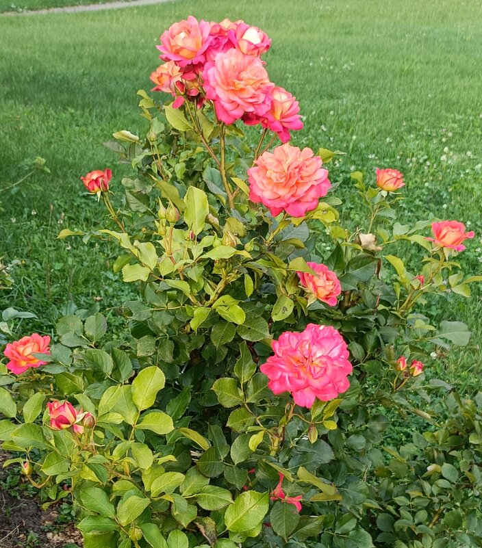 украшение сада - Галина R...