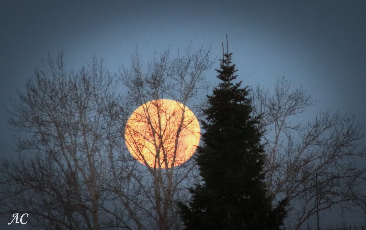 Суперлуние - Любовь Сахарова