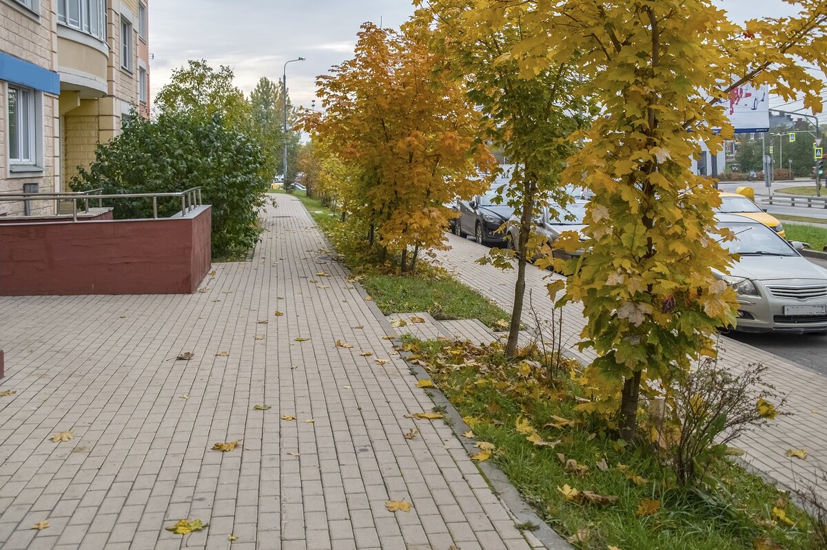 На осенних тротуарах - Валерий Иванович