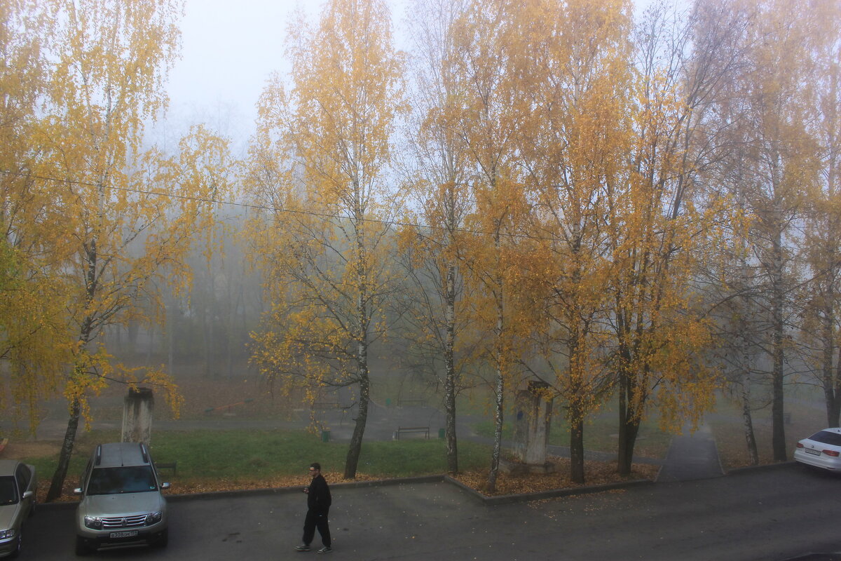 Утро туманное - Александр Щеклеин