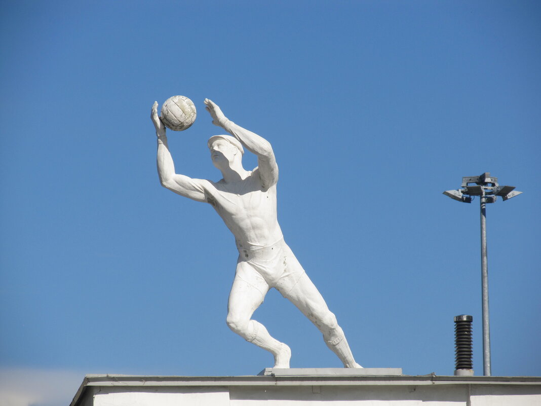 стадион - Елена Шаламова