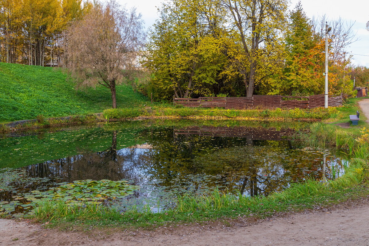 Старый пруд. - Анатолий. Chesnavik.