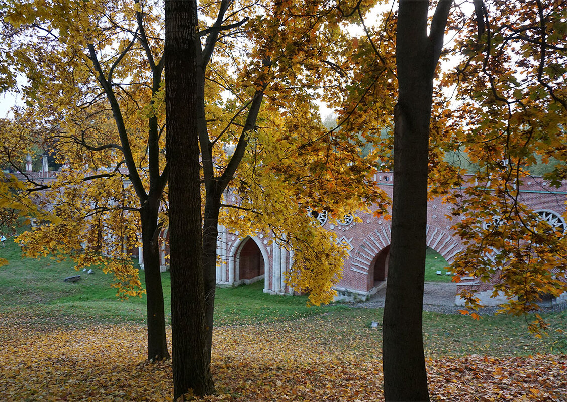 У моста - Лариса Корж