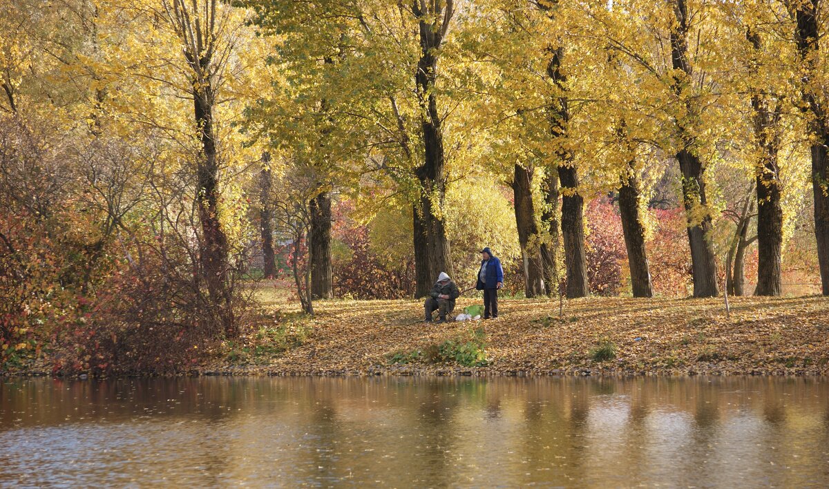 ОСЕННЕЕ - Виктор Никитенко