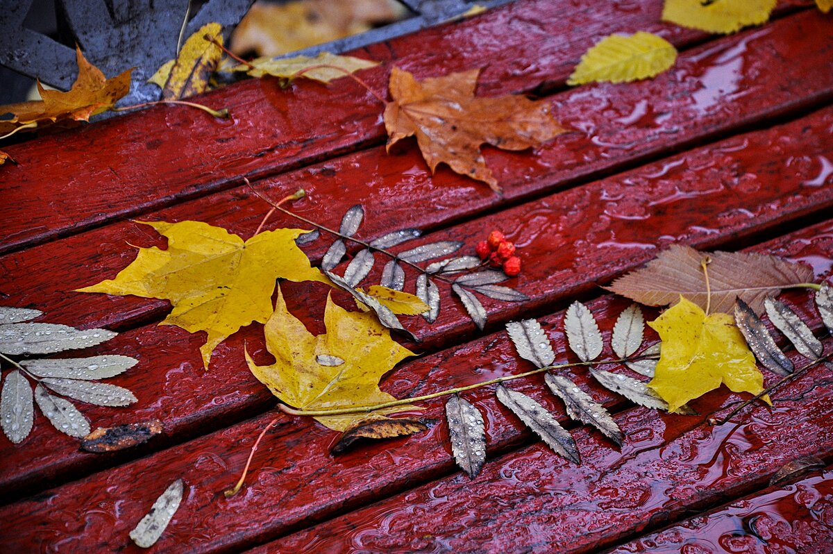Письмо с правого берега на левый для Татьяны Помогаловой - Анатолий Колосов Письмо с правого берега на левый для Татьяны Помогаловой - Анатолий Колосов
